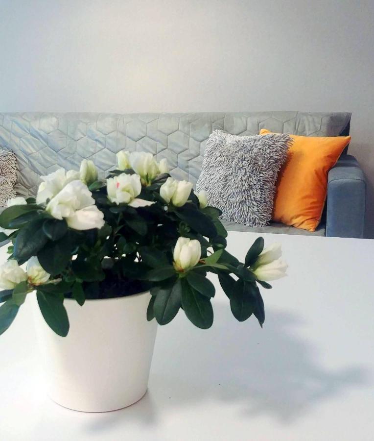 Bel Mare Wyspa, Apartament Z Parkingiem Gratis Miedzyzdroje Exterior foto